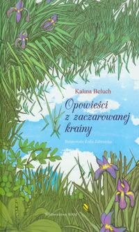 Okadka ksiki - Opowieci z zaczarowanej krainy