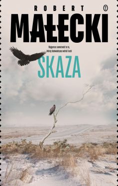 Okładka książki - Skaza