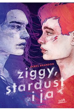 Okładka książki - Ziggy, Stardust i ja