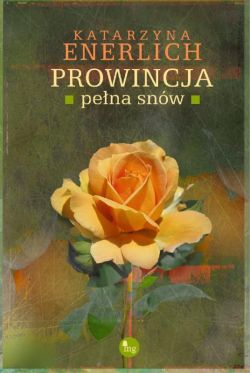 Okadka ksiki - Prowincja pena snw