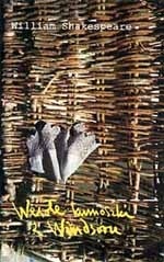 Okadka ksiki - Wesoe kumoszki z Windsoru