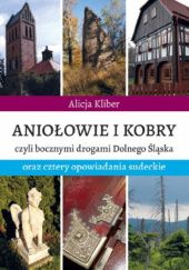 Okadka ksiki - Anioowie i Kobry czyli bocznymi drogami Dolnego lska