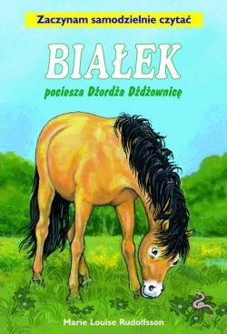 Okadka ksiki - Biaek pociesza Dorda Ddownic