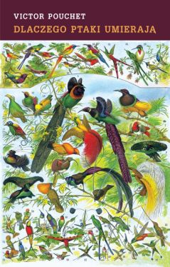Okadka ksiki - Dlaczego ptaki umieraj