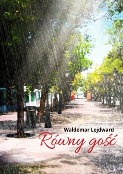 Okadka ksiki - Rwny go