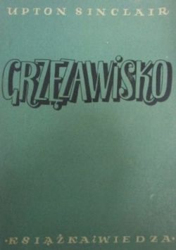 Okadka ksiki - Grzzawisko