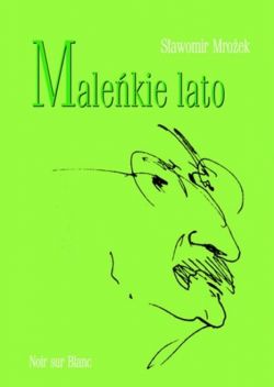 Okadka ksiki -  Malekie lato