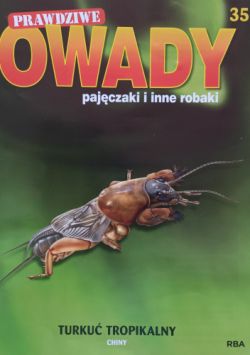 Okadka ksiki - Turku tropikalny