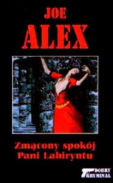 Okadka ksiki - Zmcony spokj Pani Labiryntu