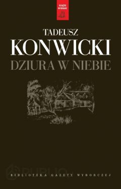 Okadka ksiki - Dziura w niebie