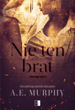 Okadka ksiki - Nie ten brat