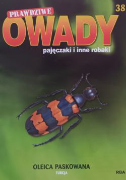 Okadka ksiki - Oleica paskowana