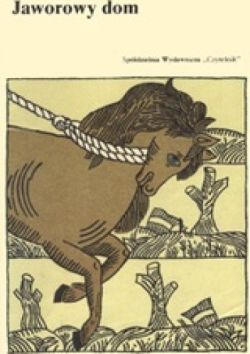 Okadka ksiki - Jaworowy dom