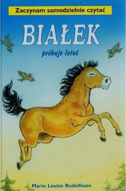 Okadka ksiki - Biaek prbuje lata