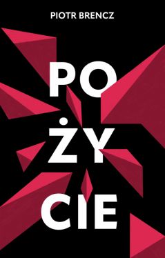 Okadka ksiki - Poycie