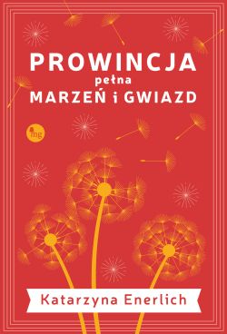 Okadka ksiki - Prowincja pena marze i gwiazd 