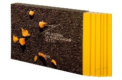 Okadka ksiki - Spojrzenia na warszawskie getto