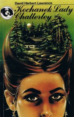 Okadka ksiki - Kochanek Lady Chatterley