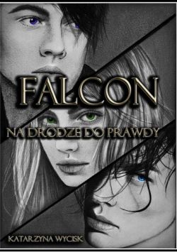 Okadka ksiki - Falcon. Na drodze do prawdy