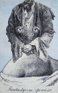 Okadka ksiki - Fantastyczne opowieci