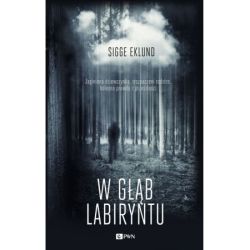 Okładka książki - W głąb labiryntu