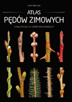 Okadka ksiki - Atlas pdw zimowych: Rozpoznawanie rolin drzewiastych