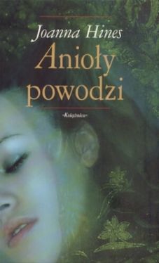 Okadka ksiki - Anioy powodzi