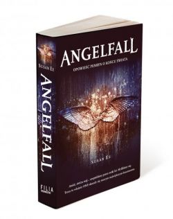 Okadka ksiki - Angelfall