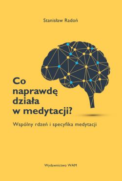 Okadka ksiki - Co naprawd dziaa w medytacji?. Wsplny rdze i specyfika medytacji