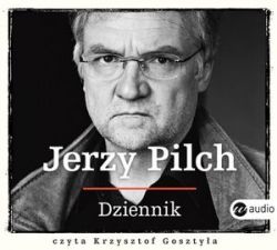 Okadka ksiki - Dziennik. Audiobook