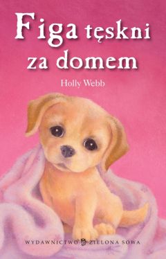 Okadka ksiki - Figa tskni za domem