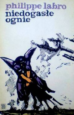 Okadka ksiki - Niedogase ognie