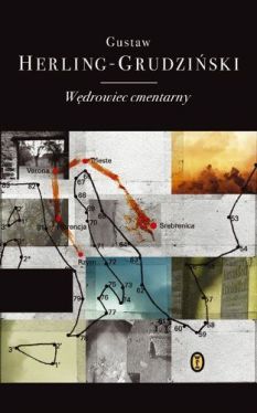 Okładka książki - Wędrowiec cmentarny