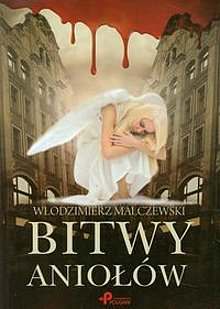 Okadka ksiki - Bitwy aniow 
