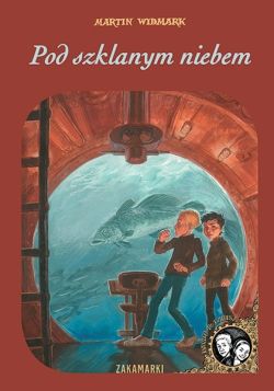 Okadka ksiki - Pod szklanym niebem