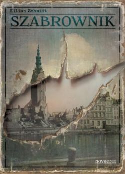Okładka książki -  Szabrownik