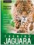 Okadka ksiki - Trening Jaguara. Obud w sobie pewno siebie i osigaj zamierzone cele