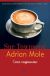 Okładka książki - Adrian Mole. Czas cappuccino