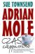 Ok�adka ksi��ki - Adrian Mole. Czas Cappuccino