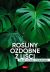Okadka ksiki - Roliny ozdobne z lici. Poradnik praktyczny