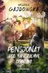 Ok�adka ksi��ki - Pensjonat pod ta�cz�cymi ogniami