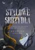 Ok�adka ksi��ki - Stalowe skrzyd�a