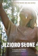 Okładka - Jezioro Słone