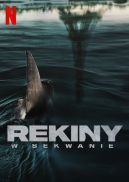 Okadka - Rekiny w Sekwanie