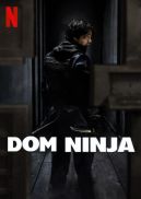 Okadka - Dom ninja