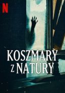 Okadka - Koszmary z natury
