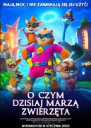 Okadka - O czym dzisiaj marz zwierzta