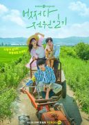 Ok�adka - Pewnego razu w ma�ym miasteczku