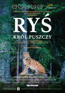 Ok�adka - Ry�. Kr�l puszczy