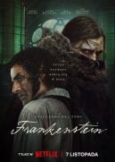 Okadka - Frankenstein